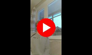 Отзыв на окна